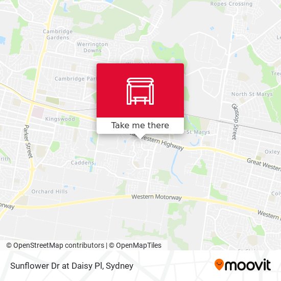 Sunflower Dr at Daisy Pl map