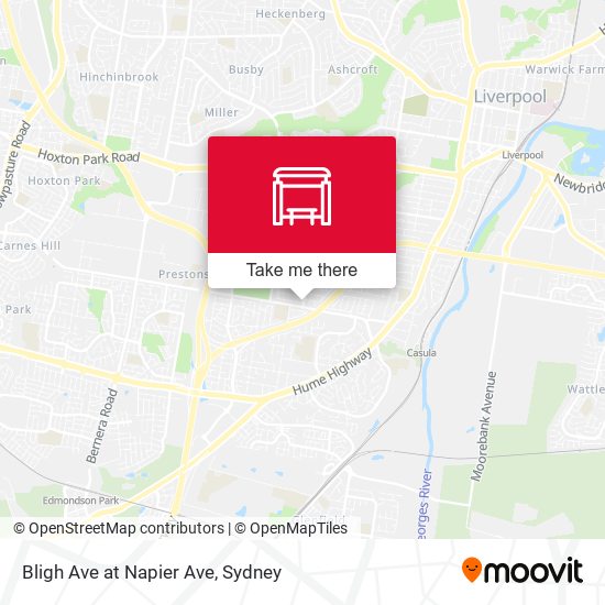 Bligh Ave at Napier Ave map