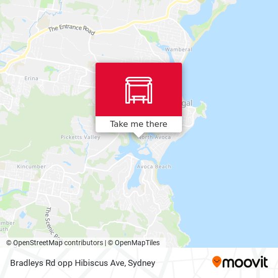 Bradleys Rd opp Hibiscus Ave map