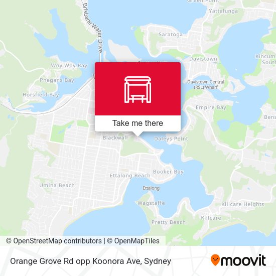 Orange Grove Rd opp Koonora Ave map
