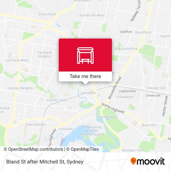 Bland St after Mitchell St map