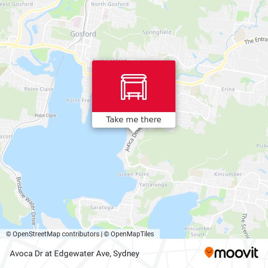 Avoca Dr at Edgewater Ave map