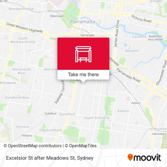 Excelsior St after Meadows St map