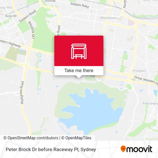 Peter Brock Dr before Raceway Pl map