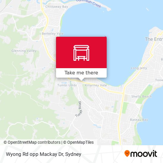Wyong Rd opp Mackay Dr map