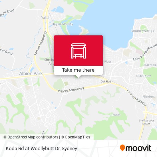 Koda Rd at Woollybutt Dr map