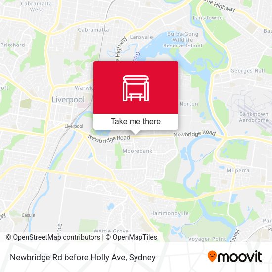 Newbridge Rd before Holly Ave map