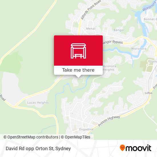 David Rd opp Orton St map
