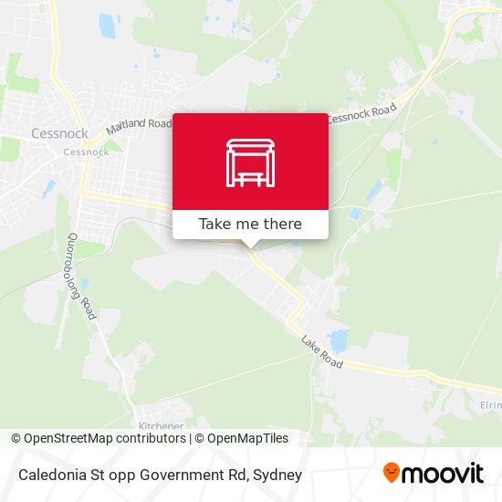 Caledonia St opp Government Rd map
