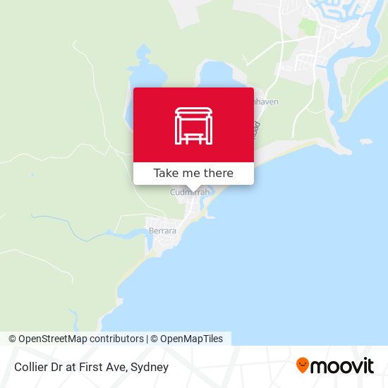 Collier Dr at First Ave map