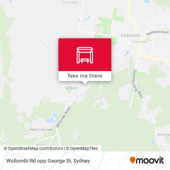 Wollombi Rd opp George St map