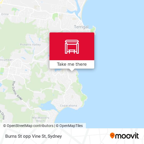 Burns St opp Vine St map