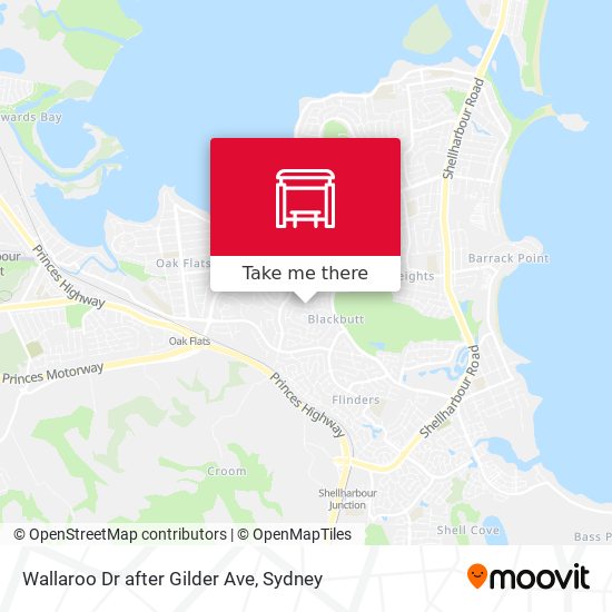 Wallaroo Dr after Gilder Ave map