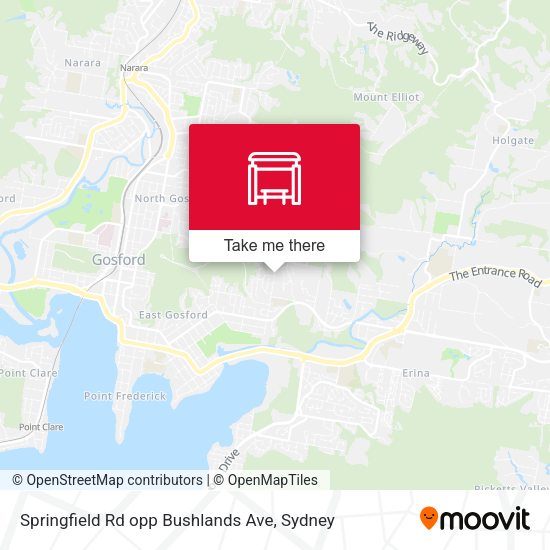 Springfield Rd opp Bushlands Ave map