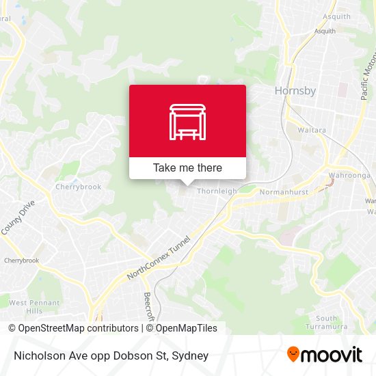 Nicholson Ave opp Dobson St map