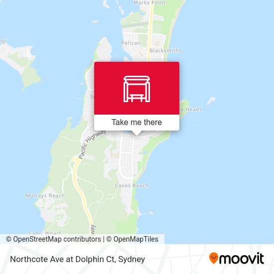Northcote Ave at Dolphin Ct map