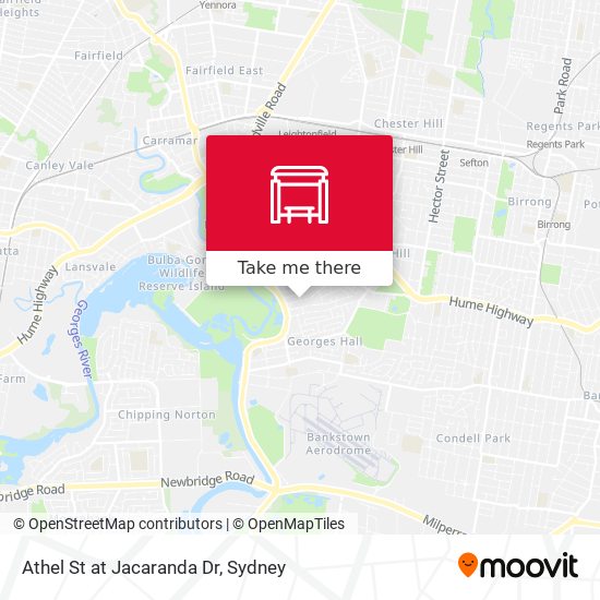 Athel St at Jacaranda Dr map