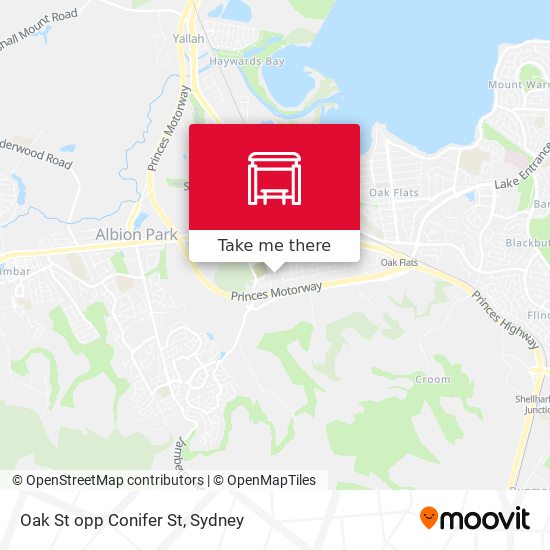 Oak St opp Conifer St map