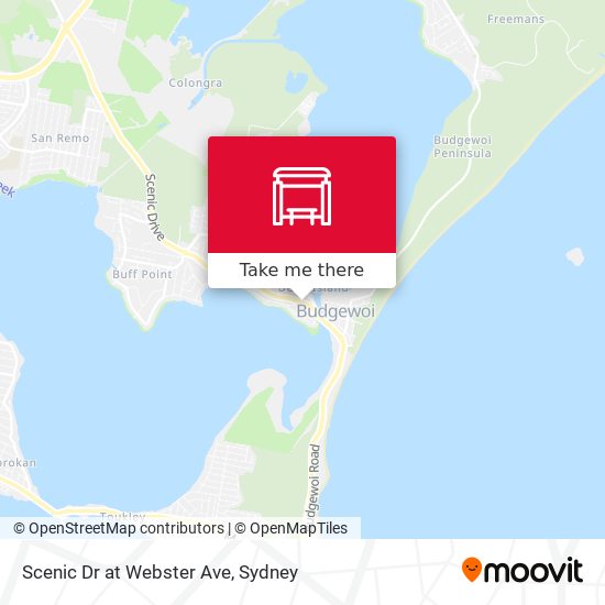 Scenic Dr at Webster Ave map