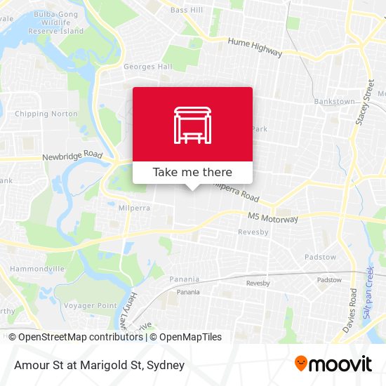 Amour St at Marigold St map