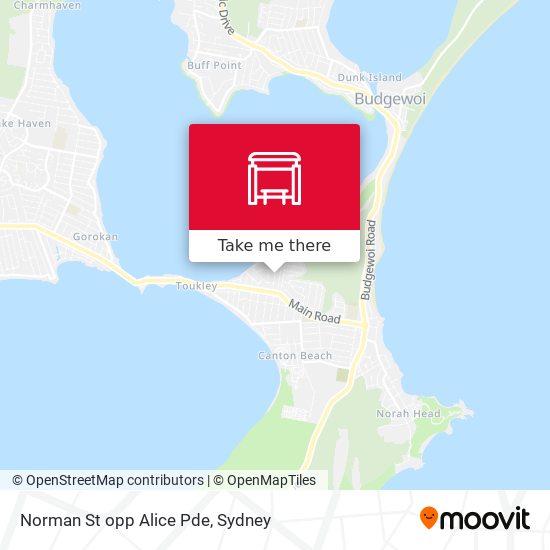 Norman St opp Alice Pde map