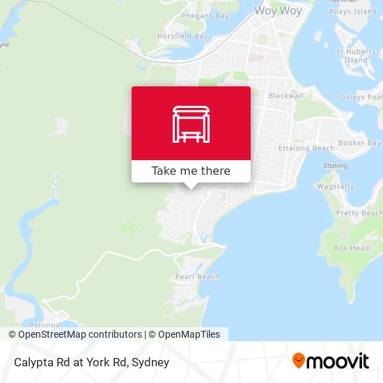 Calypta Rd at York Rd map