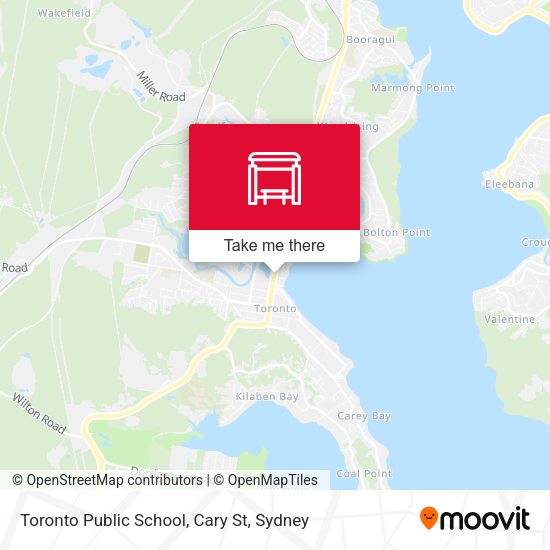 Toronto Public School, Cary St map