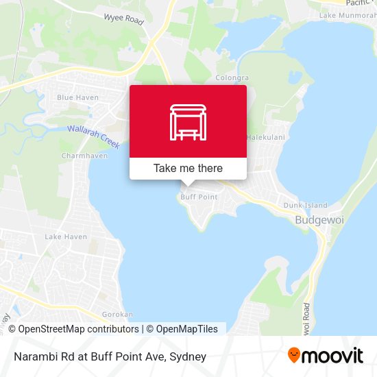 Narambi Rd at Buff Point Ave map