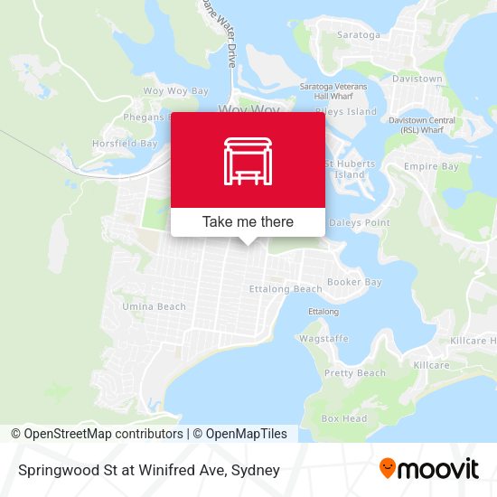 Springwood St at Winifred Ave map