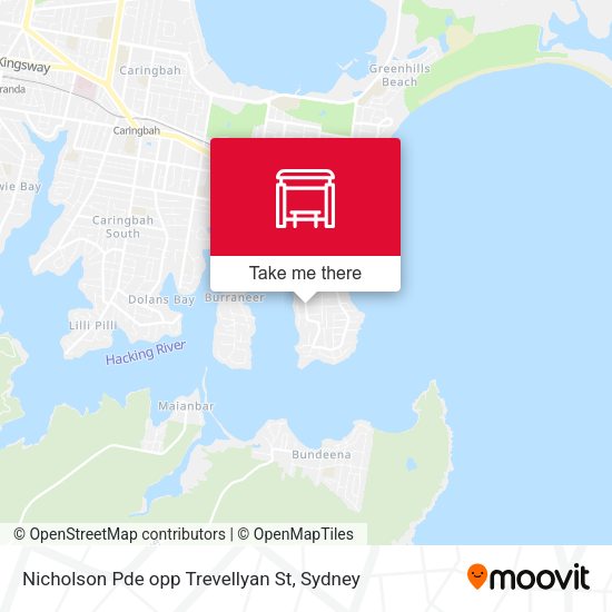 Nicholson Pde opp Trevellyan St map