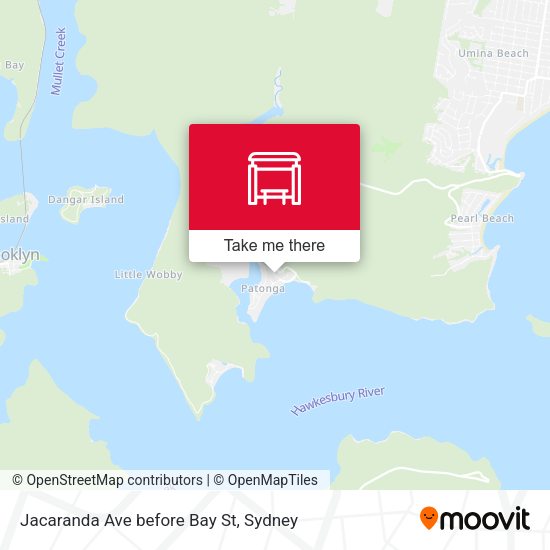 Jacaranda Ave before Bay St map