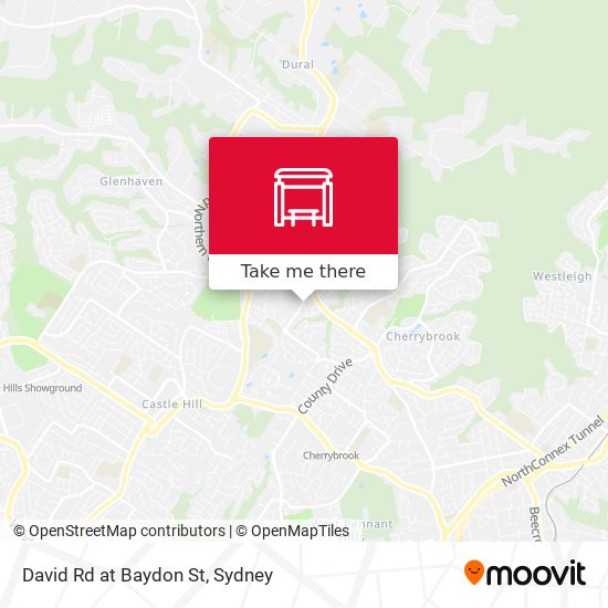 David Rd at Baydon St map