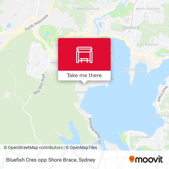 Bluefish Cres opp Shore Brace map