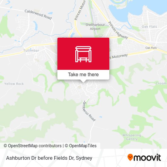 Ashburton Dr before Fields Dr map