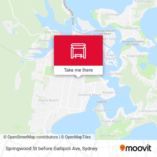 Springwood St before Gallipoli Ave map