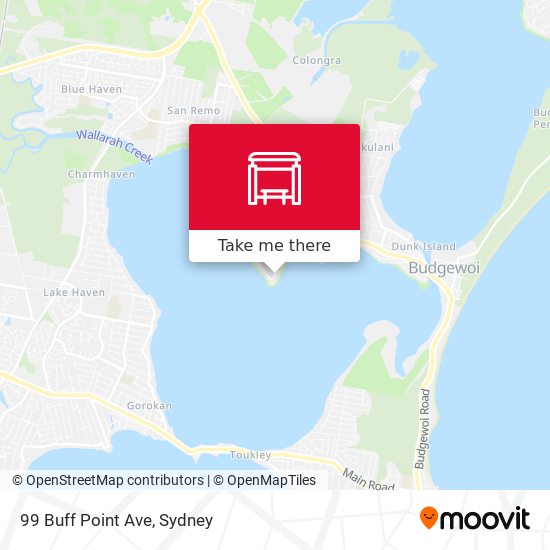 99 Buff Point Ave map
