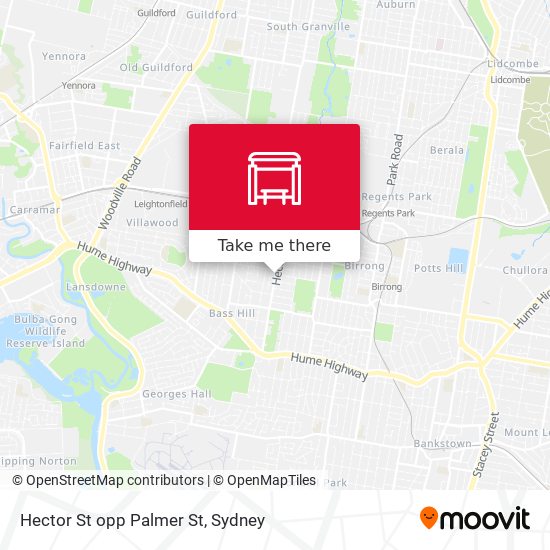 Hector St opp Palmer St map