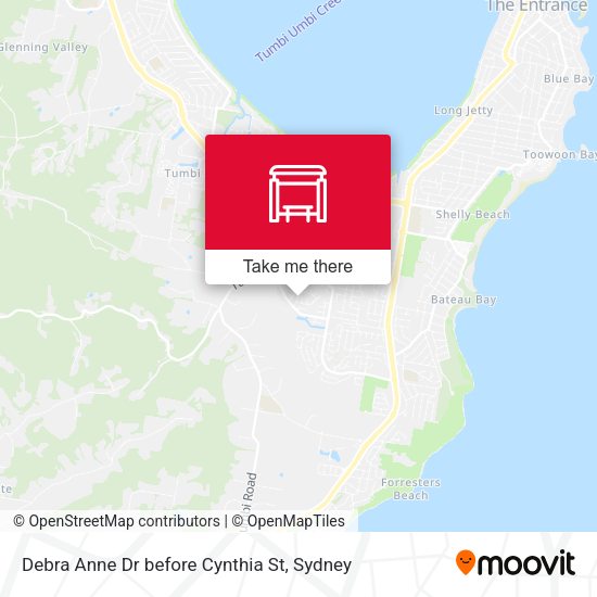 Debra Anne Dr before Cynthia St map