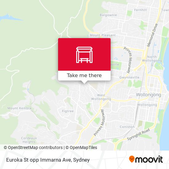 Euroka St opp Immarna Ave map