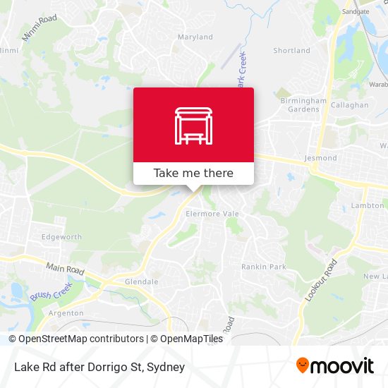 Lake Rd after Dorrigo St map