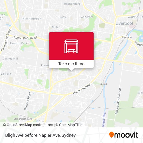 Bligh Ave before Napier Ave map
