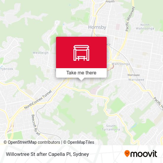 Willowtree St after Capella Pl map