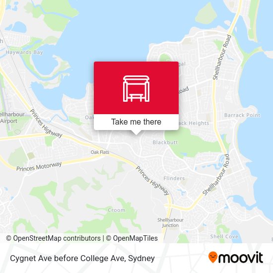 Cygnet Ave before College Ave map