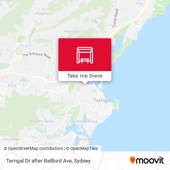 Terrigal Dr after Bellbird Ave map