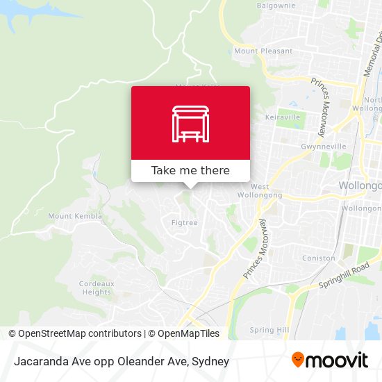 Jacaranda Ave opp Oleander Ave map