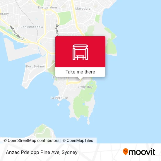 Anzac Pde opp Pine Ave map