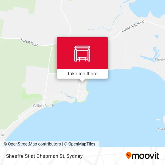 Mapa Sheaffe St at Chapman St