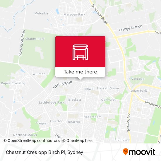 Chestnut Cres opp Birch Pl map