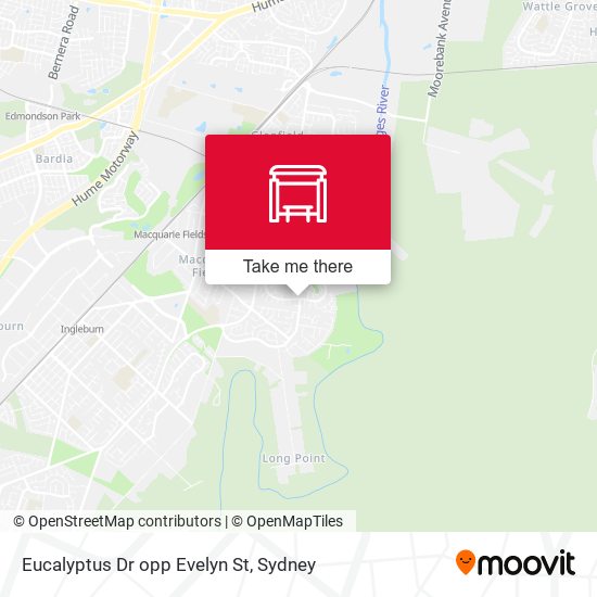 Eucalyptus Dr opp Evelyn St map