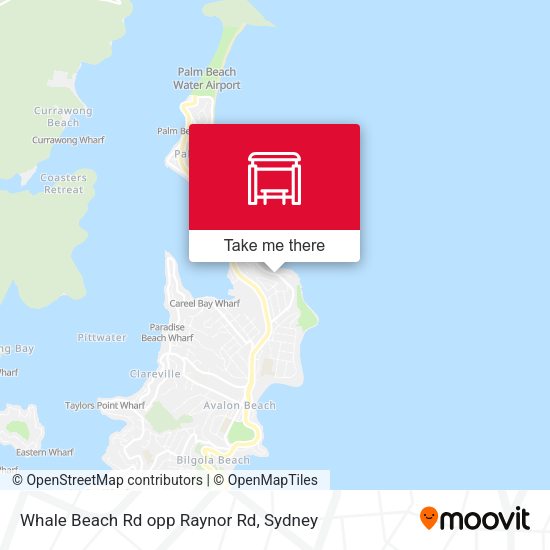 Whale Beach Rd opp Raynor Rd map